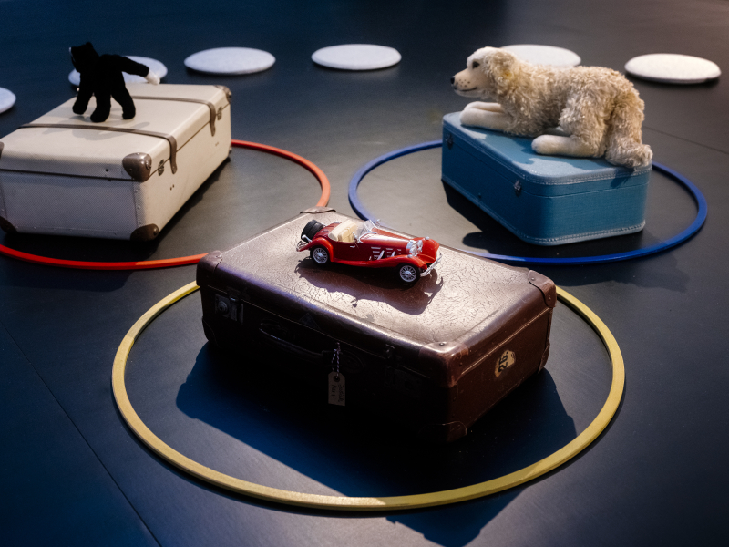 Ein Foto von drei Koffern jeweils umrandt von einem Ring. Auf jedem Koffer steht je ein Gegenstand: Ein Spielzeugauto, ein Katzen-Stofftier und ein Hunde-Stofftier